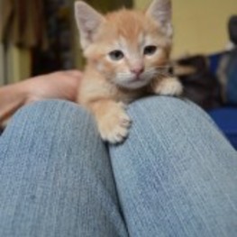 D 3570fee9 f1e4 442d 9829 ef10df2891ad