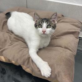 D 54906725 9ef6 497b 9ac9 76c7fa37ce57