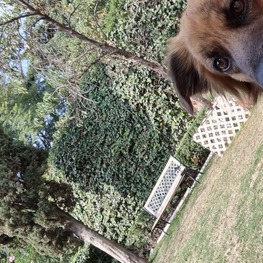 D 342f4eeb 9880 4800 8a28 7aa3226a5ea4