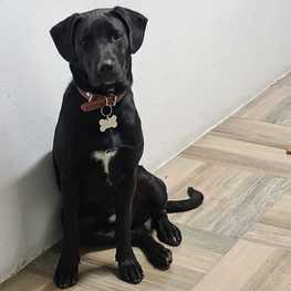 D 2902d110 ac91 45d6 aa90 eba54735f2b8