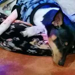 D 41882600 9a36 494a 8d2c a9cf73df9245