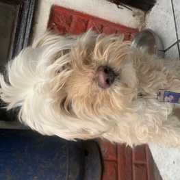 D 58c52fb3 668b 40b9 828a fcc714afb574