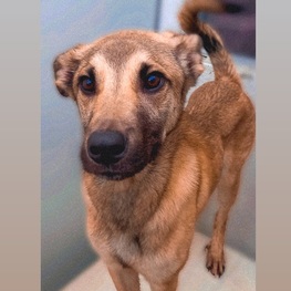 D b3756138 4acb 442e b2d6 2400c8287260