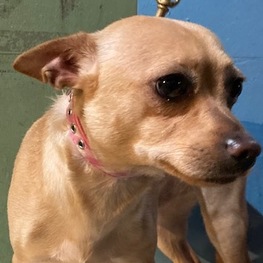 D abd76df8 42dc 4095 81d5 48b122dbbe0b