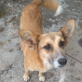 D 5be17144 70e1 4818 8d91 af7fc919a8d6