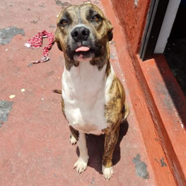 D 1eef4f3a 47c6 43f0 ae87 3a41cfc76d32