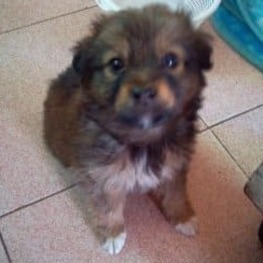 D e028967d 51dc 4e98 a6a0 75459231d238