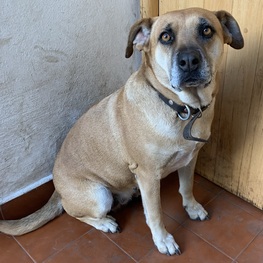 D 2d6de736 857c 406e b269 24da0d7cc0ad