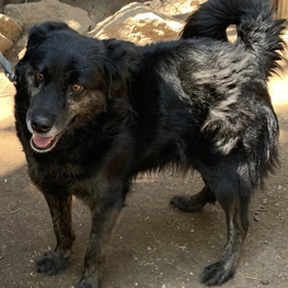 D b4ce1968 d7be 4c6b 8279 8354c8b63205