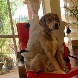 D 73076738 bae1 4bf7 8f25 e0e80829d15c