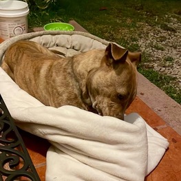 D d8e4c3c8 8915 4d49 97fe acc073d85a2e