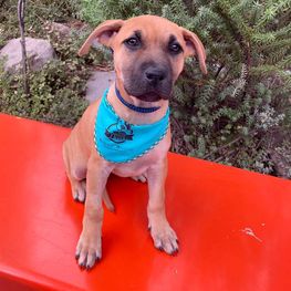 D fabe3211 68fa 4592 9bb0 67ff133e2bab