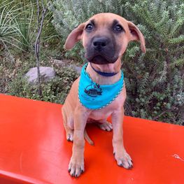 D f77a36c0 c971 4431 9372 22347f9f972b