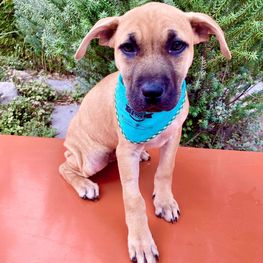 D 10a45311 362c 4fed b7f1 3f7e45bacc0f