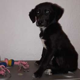 D 8693b3dc b462 4dd3 b35a 5f6a2993ccd9