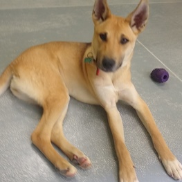 D d01d1908 bb3e 40d2 86f9 87938574c1db