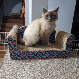 D 52504219 a296 4660 ab50 0c1cc58921c2