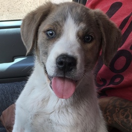 D 9f6f863e 023c 4393 ad9e fc22172a7f9b