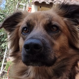 D 9bb04d30 db64 4505 9e27 92514fa95c55