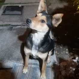 D 4e659274 7a08 40a1 b56e fcab1b3e0401