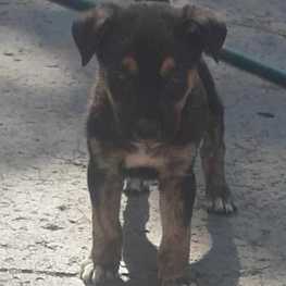 D 62027a0a 1091 4977 a403 c84208018471