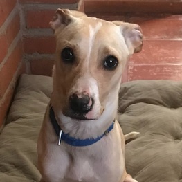 D 482d8e94 0dd6 4275 9e66 d13c4c19f3b6