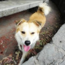 D 3fef4c28 fe6d 449e bee8 323d48d0400a