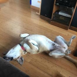 D 6acaa4c2 f4f6 4c57 bd81 bfd0ac402f5c