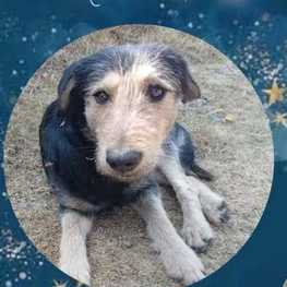 D 3bef12bf 77eb 4d2f 8f6a 6e549599990d