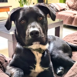 D dd5cf8c3 3be0 4f90 a4bb b4bb40b980e0