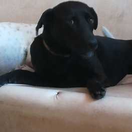 D 78fff722 0df0 48a6 a67a 0182902080b5