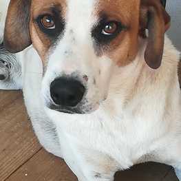 D 202ede3f b297 4f32 b2cf 9d2e62b9c64c