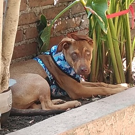 D 0ecf0468 4222 4f32 87b0 ab6c8cb21a35