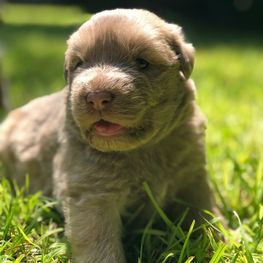 D 5dcec4c2 d381 4e08 82ee b78684b2d1af