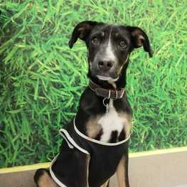 D f00eb619 09eb 45d3 97a5 a5fadb3872a1