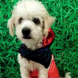 D 4b3b5c6f 4352 4fcd b891 971ff57056b3