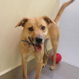 D def08eab 52f1 4be5 a20b 863f9b35c1fa