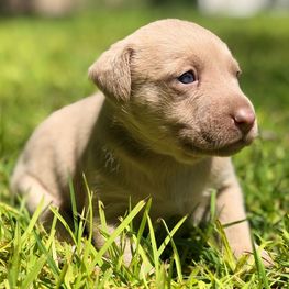 D 11855d0f 7a40 414a b291 4cc11b216aaf