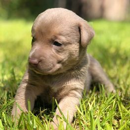 D c3283df3 7da2 4c09 8c84 7159bcf378e2