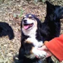 D 92330b0d 694f 4767 a764 d4c6126de588