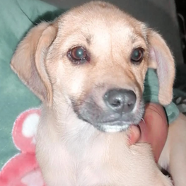 D 1ec4c933 238b 46dd 9363 b29006eaa91d