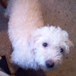 D 95743dd1 8ec5 4614 8b80 79e013069a75