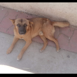 D bb8d0d30 df62 46a9 98e0 ac9132082664