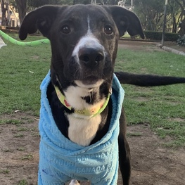 D 7555fef7 74bf 425c 986f 1ca546154e3e