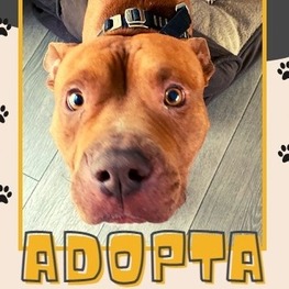 D 3969015a 406a 49b0 8987 cf93f079f085