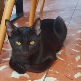 D f10a6018 f979 453f 9646 d47c94e81af4