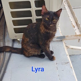 D a1dc1c2d c75f 4248 b89d 7b600b28743f