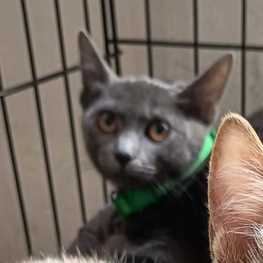 D ccd078c6 c067 48d8 a9c4 b990caa42ce4