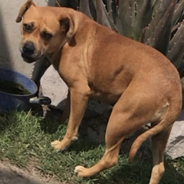 D 06bb6993 ee65 4479 9f02 a31b72d9c6ee