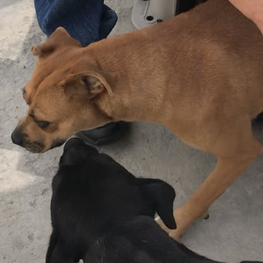 D 7a46f44d 5ca7 462a ab89 3b8c87e5d197